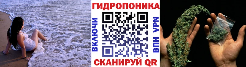Наркошоп купить МАРИХУАНА APVP Псилоцибиновые грибы Меф Cocaine Гашиш АМФ Сортавала