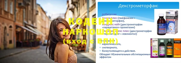 ПСИЛОЦИБИНОВЫЕ ГРИБЫ Верея