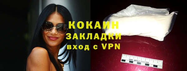 ПСИЛОЦИБИНОВЫЕ ГРИБЫ Верея