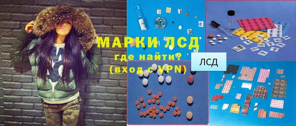 ПСИЛОЦИБИНОВЫЕ ГРИБЫ Верея